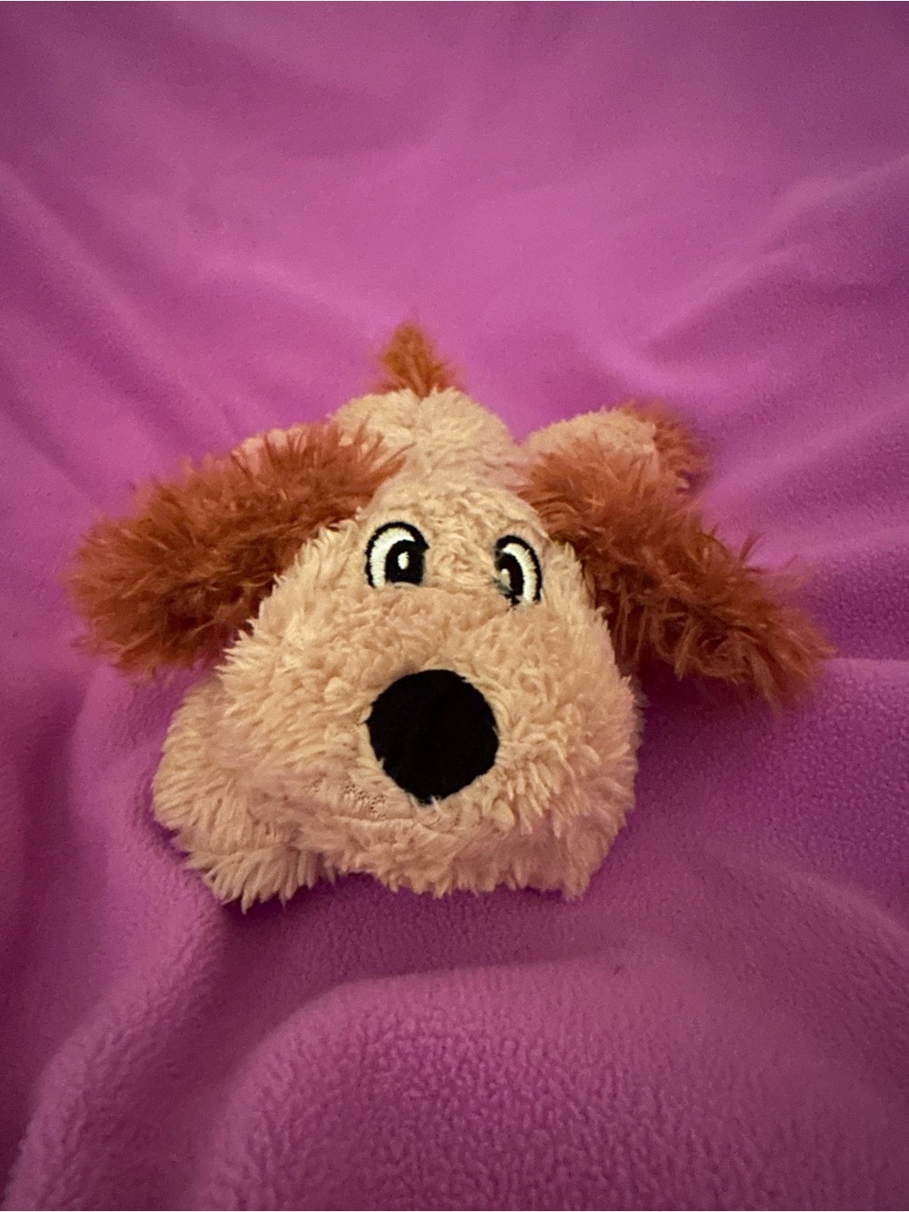 Plush Puppy